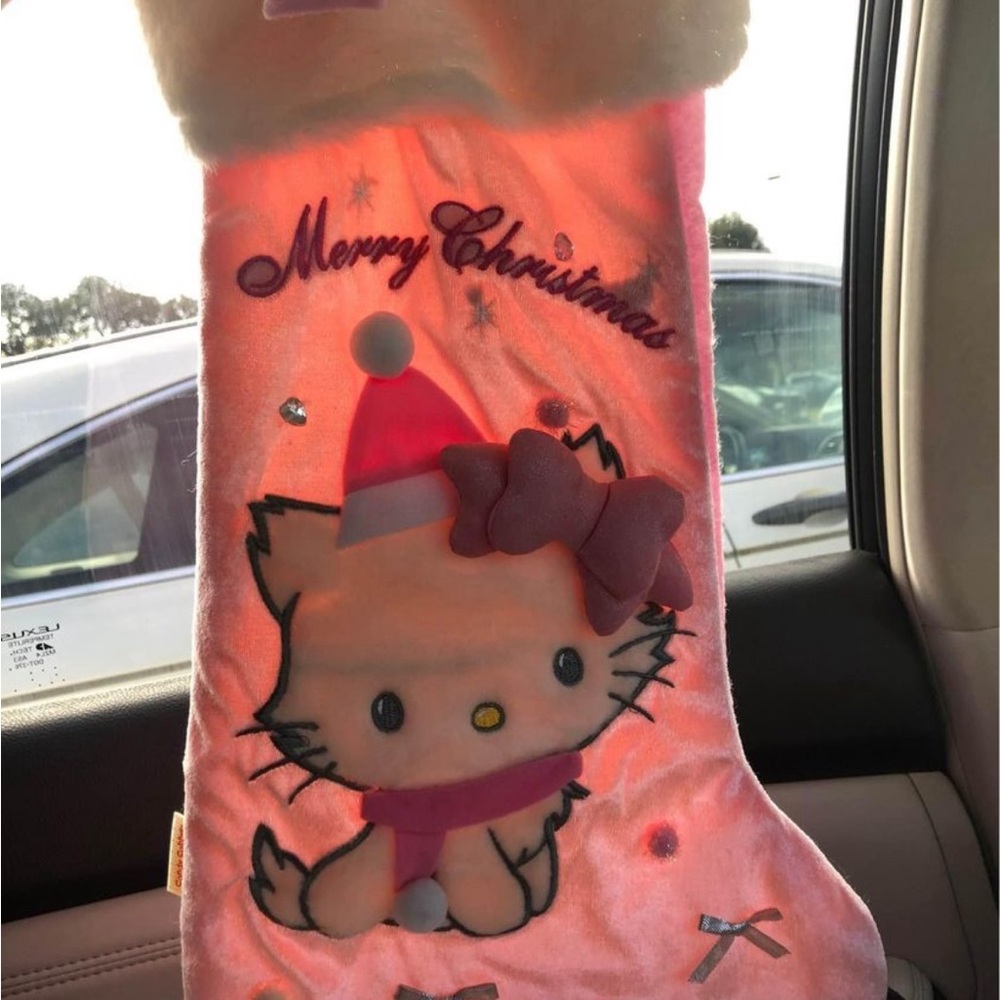 rare charmmy kitty stocking